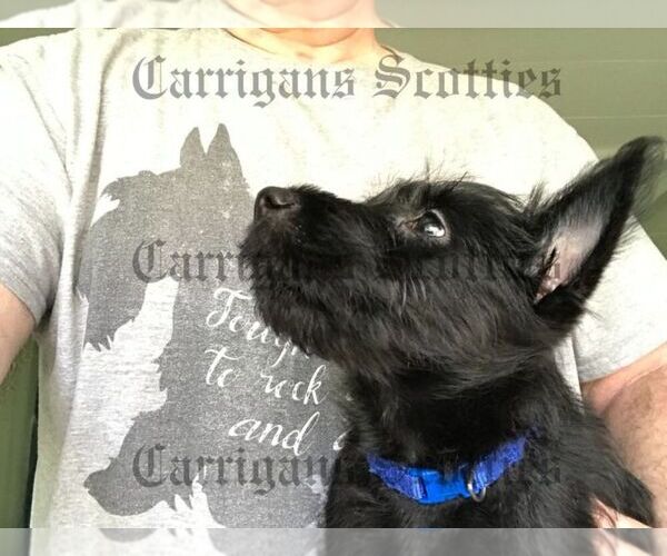 Medium Photo #1  Breeder Profile in HOQUIAM, WA, USA