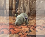 Small #3 Breeder Profile image