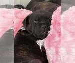 Small #8 Breeder Profile image