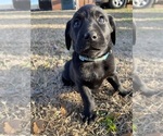 Small #20 Breeder Profile image
