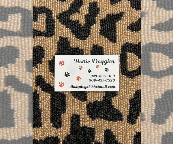 Medium Photo #1  Breeder Profile in CORONA, CA, USA