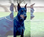 Small #5 Breeder Profile image
