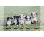 Small #12 Breeder Profile image