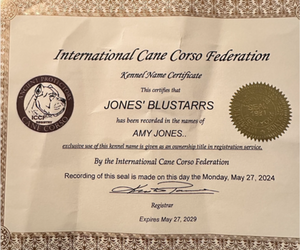 Cane Corso Dog Breeder near ANDERSON, IN, USA