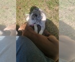 Small #14 Breeder Profile image