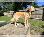 Small #5 Breeder Profile image