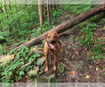 Small #1 Breeder Profile image