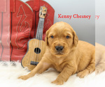 Small #3 Breeder Profile image