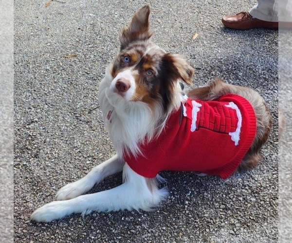Medium Photo #7  Breeder Profile in BLUE RIVER, WI, USA