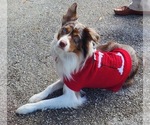 Small #6 Breeder Profile image