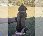 Small #44 Breeder Profile image