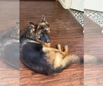 Small #9 Breeder Profile image