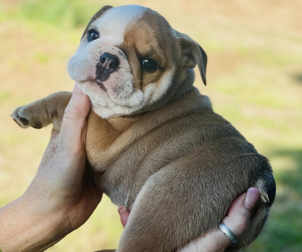Medium Photo #5  Breeder Profile in SALEM, OR, USA