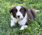 Small #1 Breeder Profile image