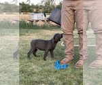 Small #1 Breeder Profile image