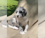 Small #13 Breeder Profile image