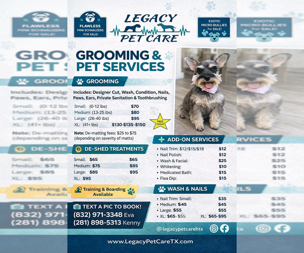 Medium Photo #8  Breeder Profile in HOUSTON, TX, USA