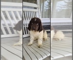 Small #37 Breeder Profile image