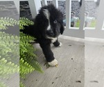 Small #30 Breeder Profile image