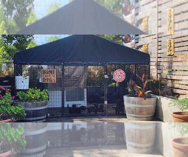 Medium Photo #3  Breeder Profile in SACRAMENTO, CA, USA