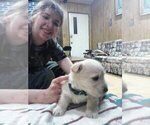 Small #4 Breeder Profile image