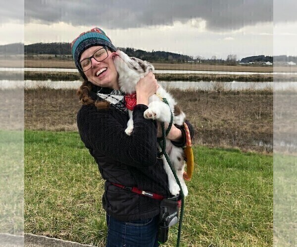 Medium Photo #59  Breeder Profile in CONWAY, MO, USA