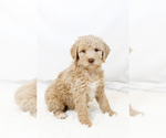 Small #37 Breeder Profile image