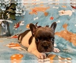 Small #3 Breeder Profile image