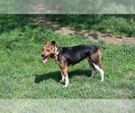 Small #3 Breeder Profile image