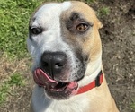 Small #14 Breeder Profile image