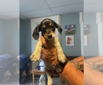 Small #6 Breeder Profile image