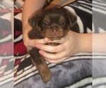 Small #34 Breeder Profile image
