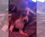 Small #5 Breeder Profile image