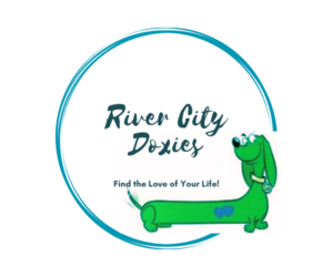Dachshund Dog Breeder in MEMPHIS,  USA