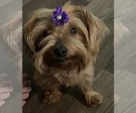 Small #1 Breeder Profile image