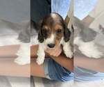 Small #2 Breeder Profile image