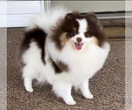 Small #7 Breeder Profile image