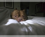 Small #18 Breeder Profile image