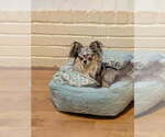 Small #4 Breeder Profile image