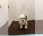 Small #1 Breeder Profile image