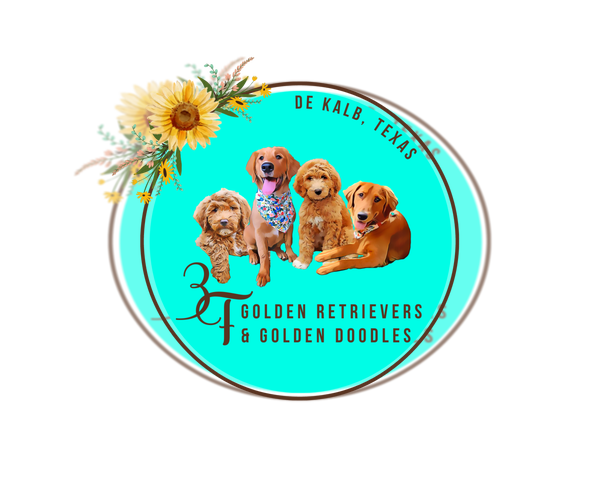 Medium Photo #1  Breeder Profile in DE KALB, TX, USA