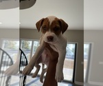 Small #1 Breeder Profile image