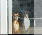 Small #5 Breeder Profile image