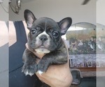 Small #5 Breeder Profile image