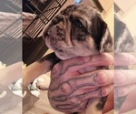 Small #30 Breeder Profile image