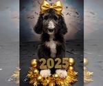 Small #3 Breeder Profile image