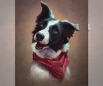 Small #2 Breeder Profile image