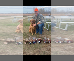 Small #1 Breeder Profile image