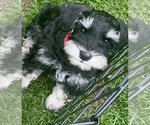 Small #5 Breeder Profile image