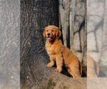 Small #9 Breeder Profile image